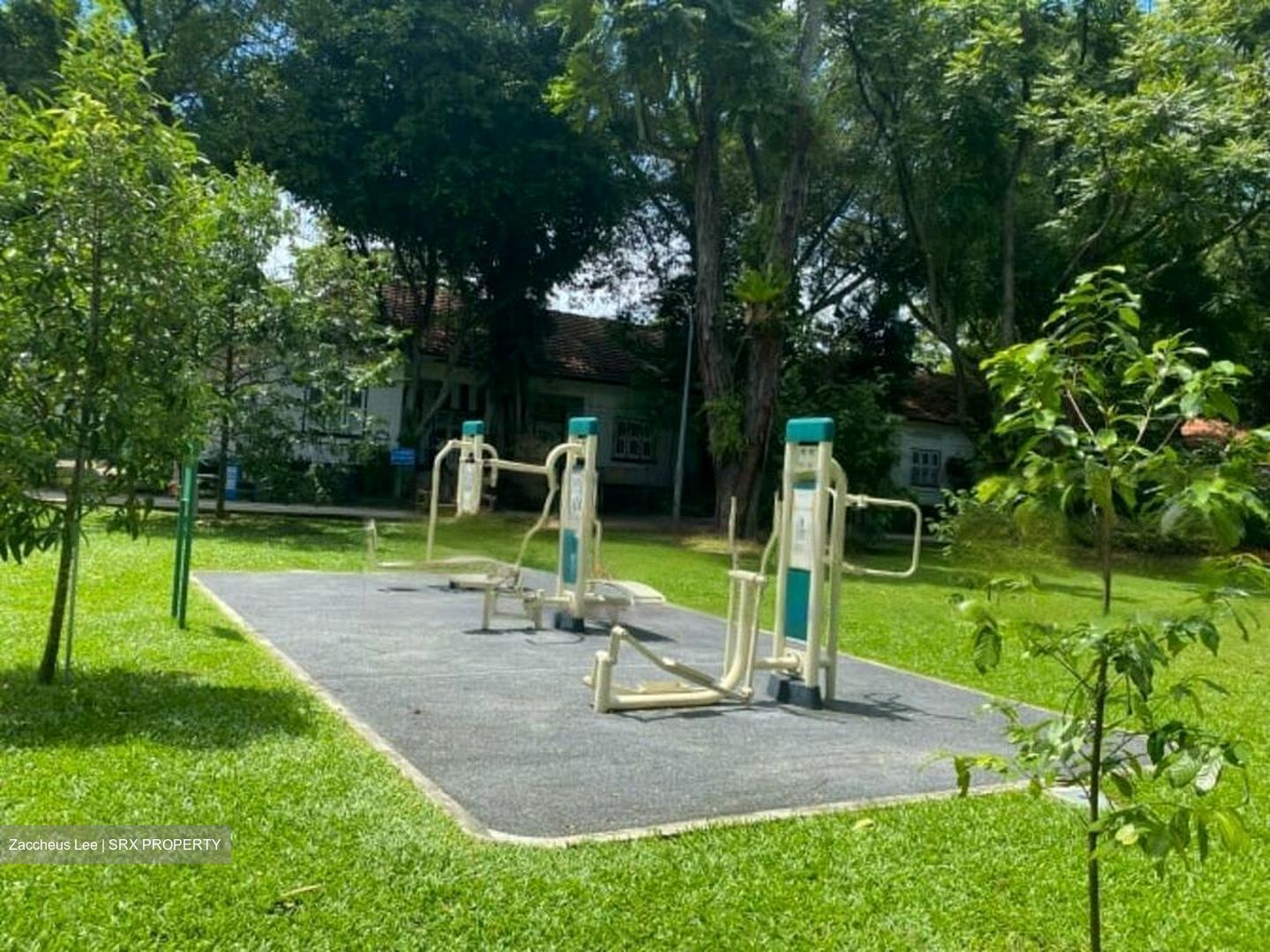 Thomson Road (D11), Terrace #459329181